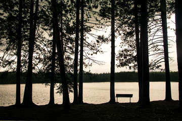 sepia style, view on abandoned bench at shore of lake surrounded by trees, Canada, summer