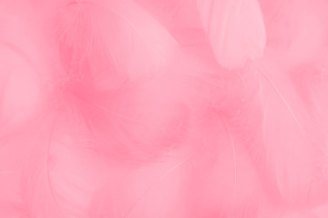 30+ Free Pink Pattern Background - Pikwizard