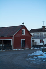 A red barn in Sweden with a black rooster statue on the roof photographed vertical