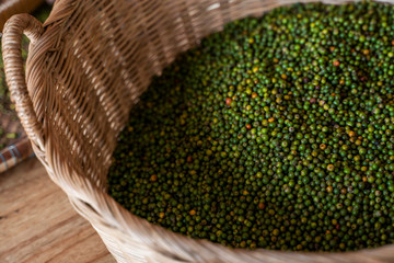 Ripe green peppers before drying in plates of reed. Agriculture in tropical countries. Agriculture....
