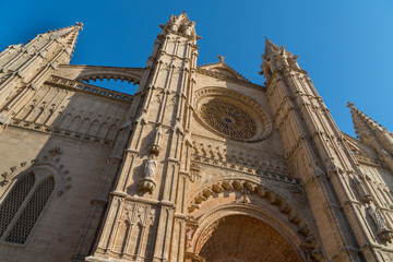 Fototapeta na wymiar spain palma de majorca cathedral
