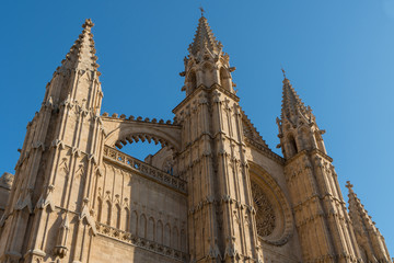 Fototapeta na wymiar spain palma de majorca cathedral