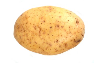 Close up of potato on white background