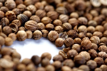 Closeup of died mustard seeds