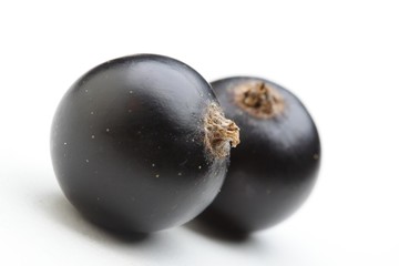 Close - up of blackcurrants on white background