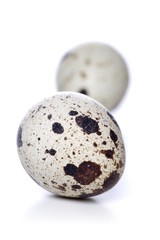 Obraz premium Quail eggs