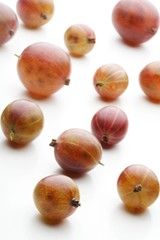 Studio shot of gooseberies at white background