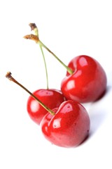 Studio shot of cherries on white background