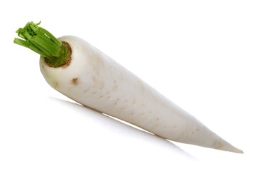 White rabbit on white background