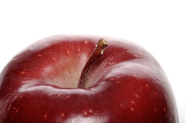 Close-up of red apple on white background