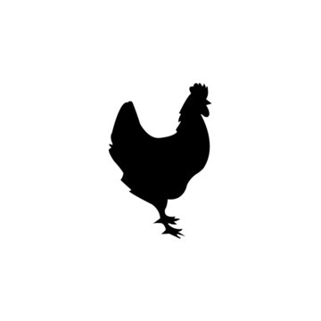 chicken icon vector - illustration