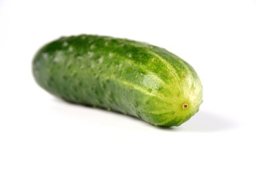 Cucumber