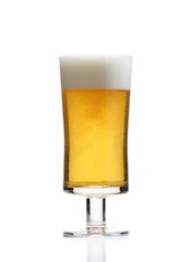 Pint of beer - studio shot