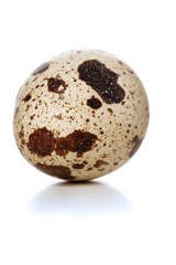Obraz premium Quail eggs