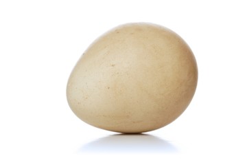 Quail eggs