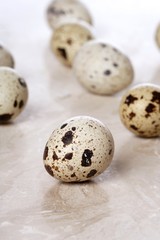 Fototapeta premium Quail eggs