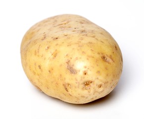 Close up of potao on white background