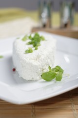 White Polish cheese