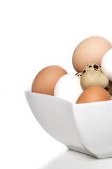 Close up of aggs in bowl