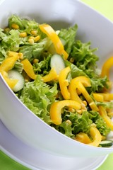 Close up of spring salad