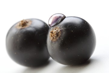 Close up of black currants