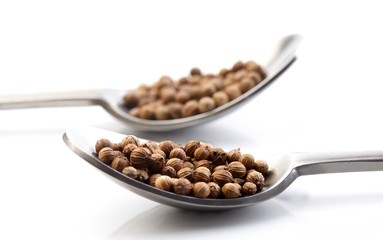 Mutard seeds on a spon