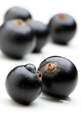 Black currants - close up