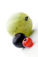 Goosebarry, blackcurrant and redcurrant