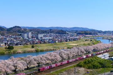 白石川一目千本桜と東北本線。柴田、宮城、日本。４月中旬。