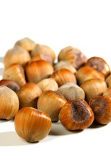 Hazelnuts