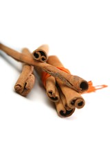Tied Bunch of cinnamon Sticks