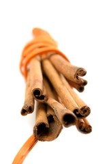 Tied Bunch of cinnamon Sticks