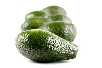 Avocado