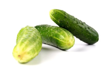 Cucumber