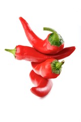 Red Chilli