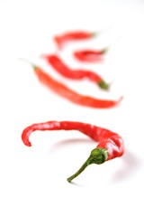 Red Chilli