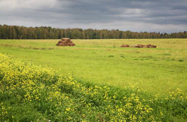 Fototapeta premium Landscape near Nikola-Lenivets village. Kaluga oblast. Russia