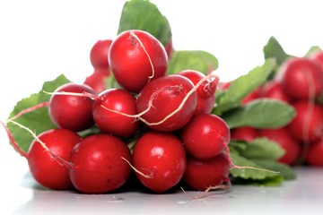 Bunch of raddish on white background