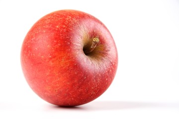 Apples