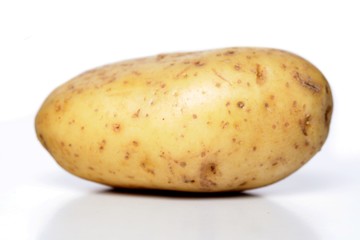 Close-up of potato on white background