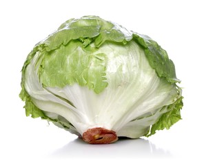 Obraz premium Close-up of cabbage on white background