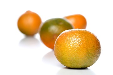 Close-up of mandarin on white background
