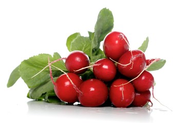 Studio shot of radish on white background