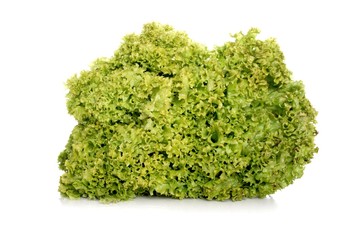 Close up of lettuce on white background