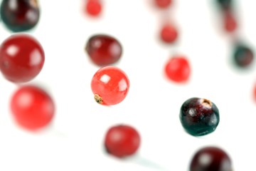 Cranberries