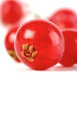 Redcurrants