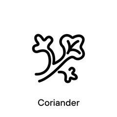 Obraz premium Coriander outline icon vector