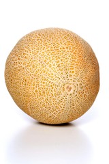 Melon
