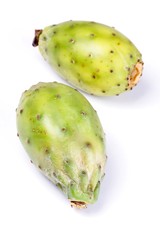 Opuntia ficus indica