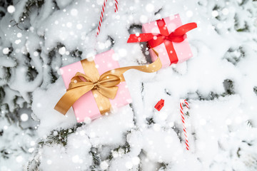 Minimal Christmas holiday composition with a gift boxex decorating a Christmas tree branch with Bleeding light glitter